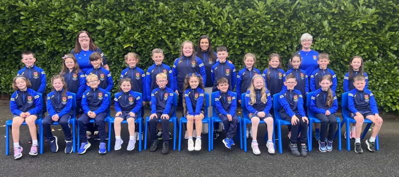 Primary 5